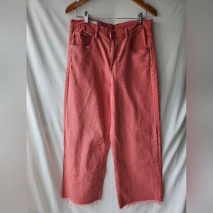 Gap High Rise Stride Ankle Salmon Colored Wide Leg Jeans Size 31